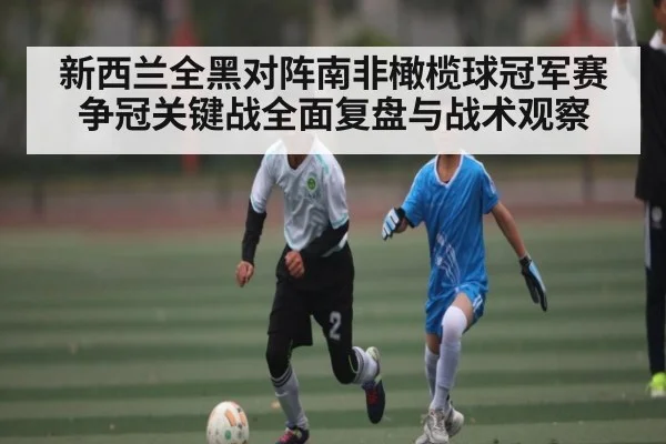新西兰全黑对阵南非橄榄球冠军赛争冠关键战全面复盘与战术观察