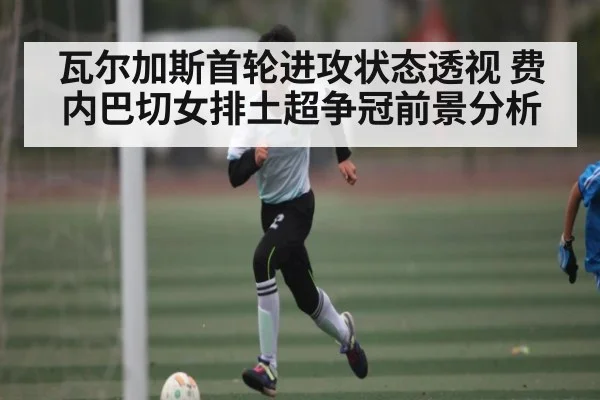 瓦尔加斯首轮进攻状态透视 费内巴切女排土超争冠前景分析